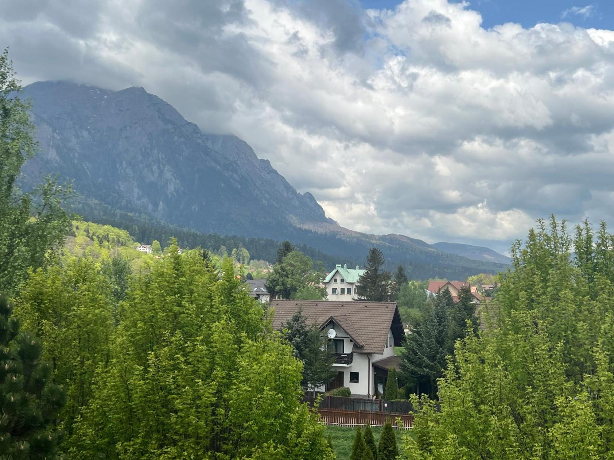 Wine Cellar Villa With Beautiful Garden In Sinaia - Busteni Poiana Tapului エクステリア 写真