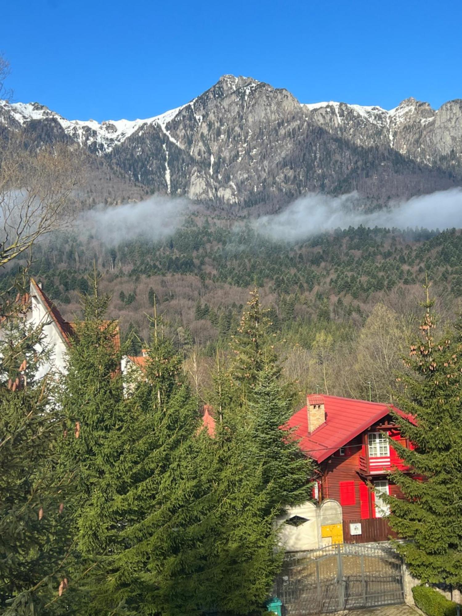 Wine Cellar Villa With Beautiful Garden In Sinaia - Busteni Poiana Tapului エクステリア 写真