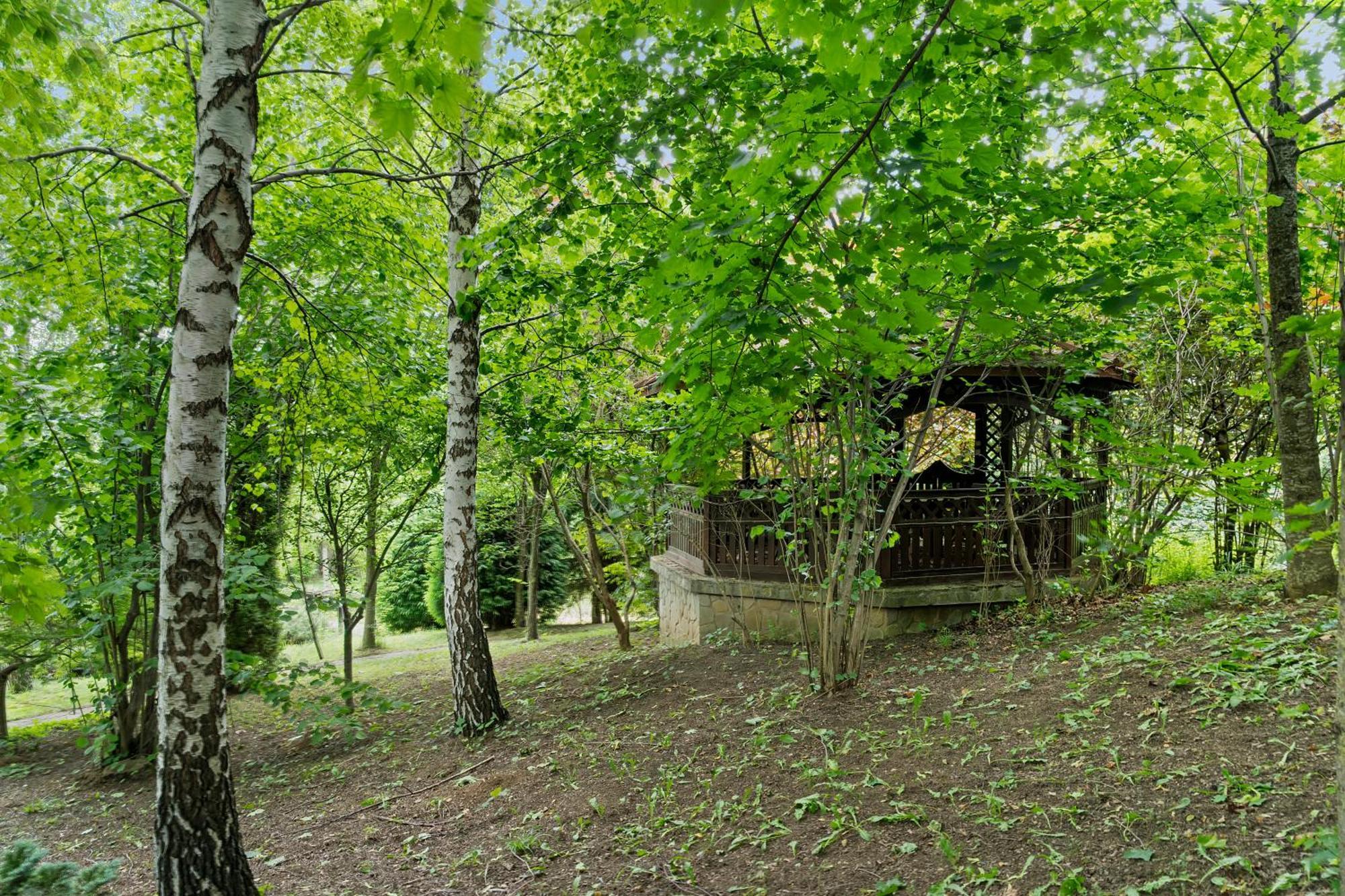 Wine Cellar Villa With Beautiful Garden In Sinaia - Busteni Poiana Tapului エクステリア 写真