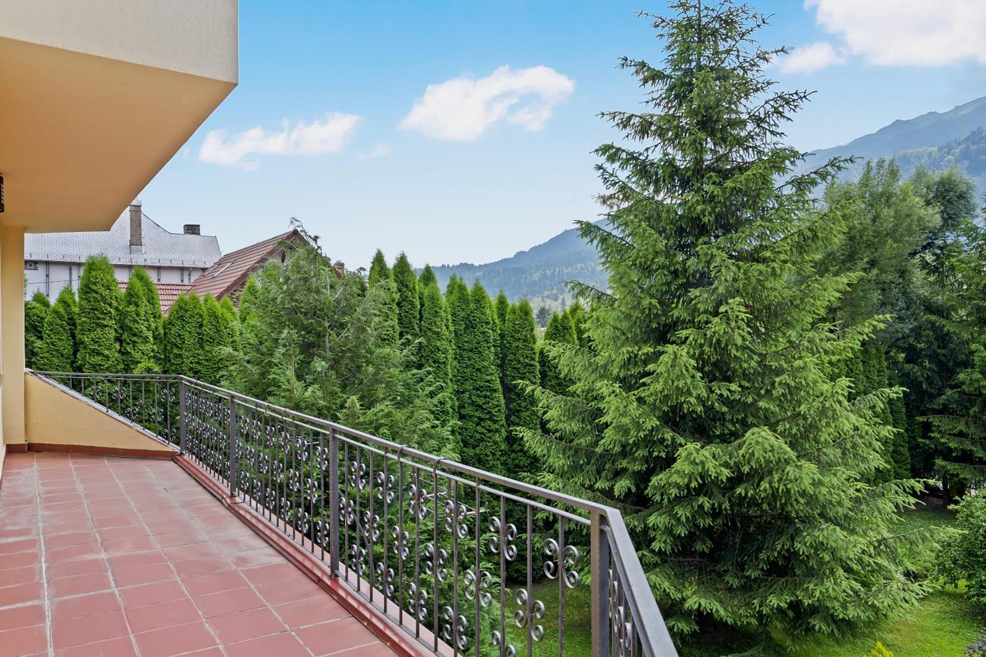 Wine Cellar Villa With Beautiful Garden In Sinaia - Busteni Poiana Tapului エクステリア 写真