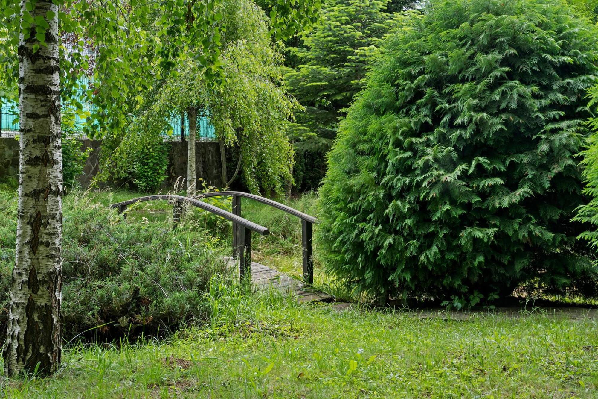 Wine Cellar Villa With Beautiful Garden In Sinaia - Busteni Poiana Tapului エクステリア 写真