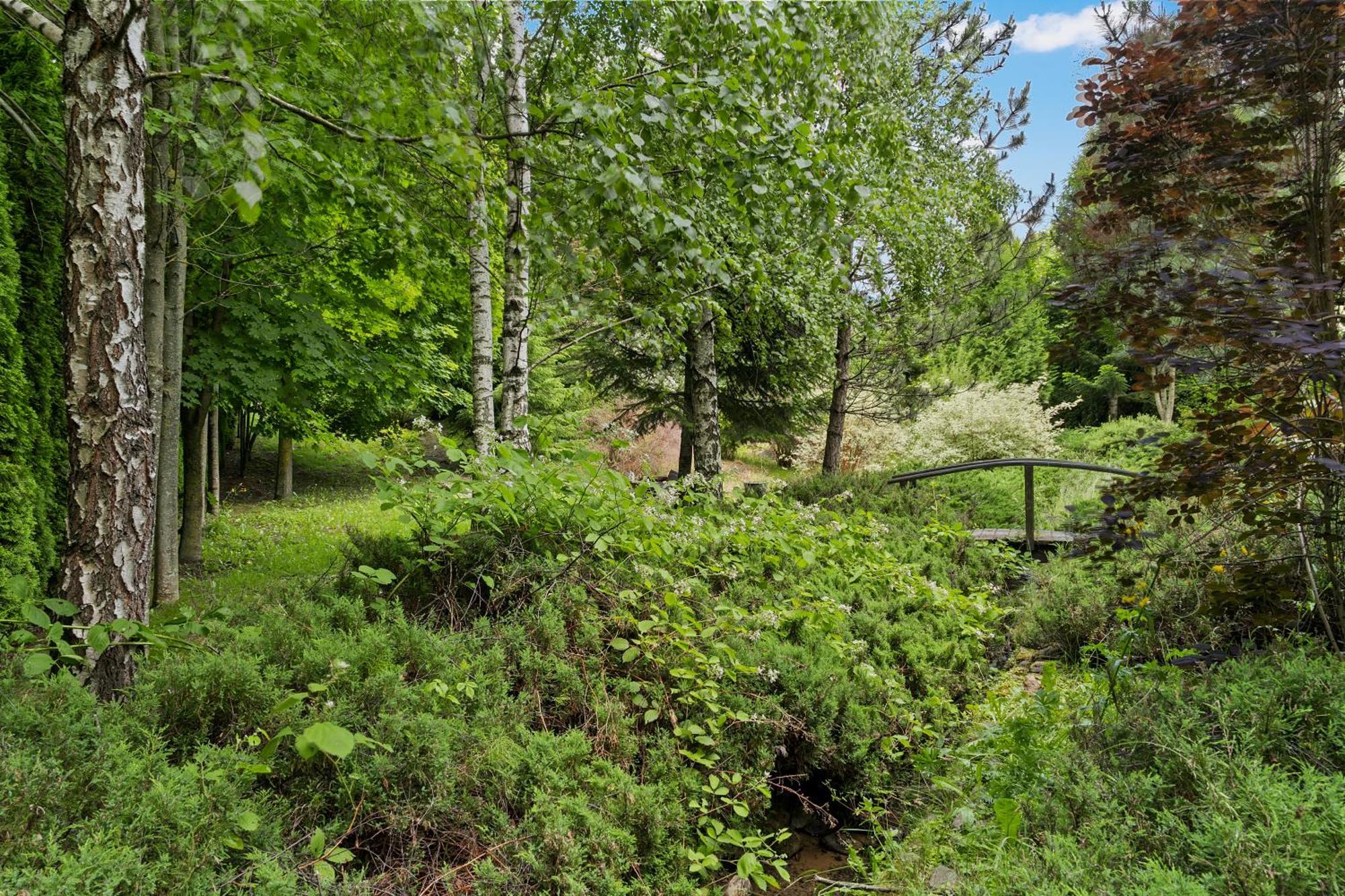 Wine Cellar Villa With Beautiful Garden In Sinaia - Busteni Poiana Tapului エクステリア 写真